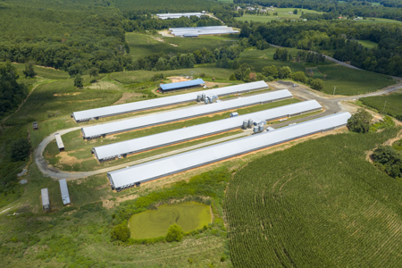 Premier 12-House Poultry Farm with Strong Income Potential - image 23