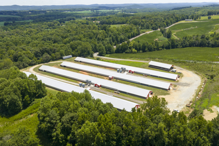 Premier 12-House Poultry Farm with Strong Income Potential - image 19