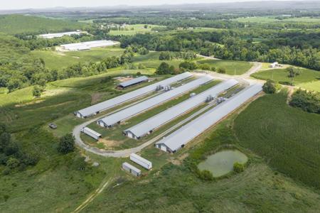 Premier 12-House Poultry Farm with Strong Income Potential - image 22