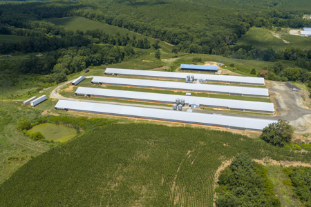 Premier 12-House Poultry Farm with Strong Income Potential - image 24