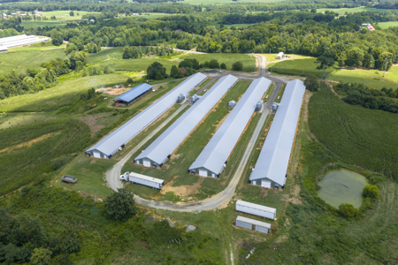 Premier 12-House Poultry Farm with Strong Income Potential - image 21