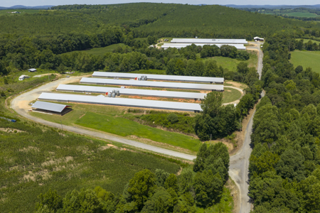Premier 12-House Poultry Farm with Strong Income Potential - image 15