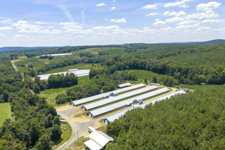 Premier 12-House Poultry Farm with Strong Income Potential - image 10