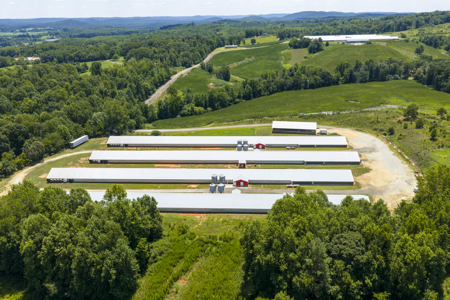 Premier 12-House Poultry Farm with Strong Income Potential - image 11