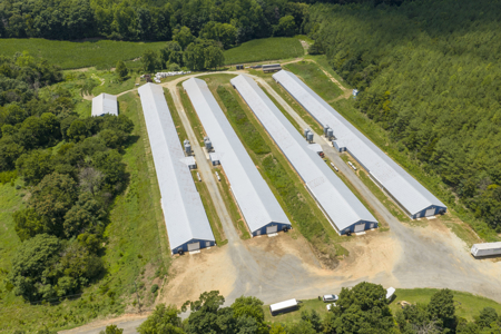 Premier 12-House Poultry Farm with Strong Income Potential - image 5