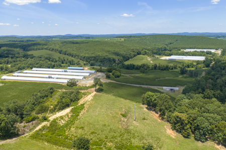 Premier 12-House Poultry Farm with Strong Income Potential - image 25