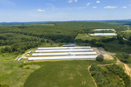 Premier 12-House Poultry Farm with Strong Income Potential - image 26