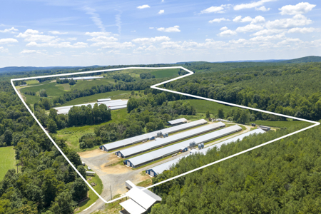 Premier 12-House Poultry Farm with Strong Income Potential - image 28
