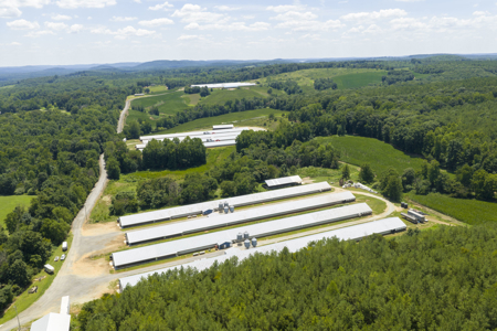 Premier 12-House Poultry Farm with Strong Income Potential - image 9