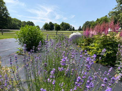 Country Living with Beautiful Gardens, Barn, & Garage - image 29