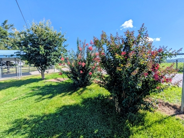Listing 57