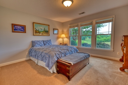 Home For Sale In Auburn Hills Community - image 14