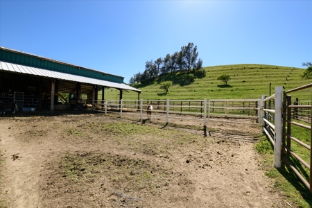 Yolo County, Northern California Country Properties for Sale - image 40