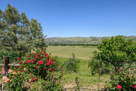 Yolo County, Northern California Country Properties for Sale - image 10
