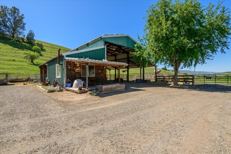 Yolo County, Northern California Country Properties for Sale - image 5