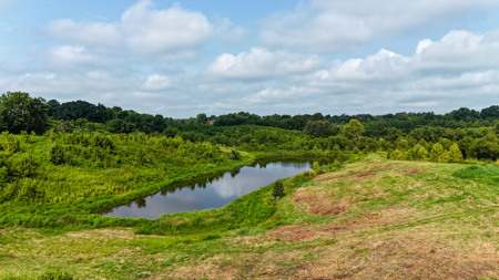 82-Acre West TN Cattle Farm for Sale in Hornbeak, Tennessee - image 9