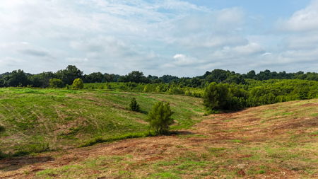 82-Acre West TN Cattle Farm for Sale in Hornbeak, Tennessee - image 15