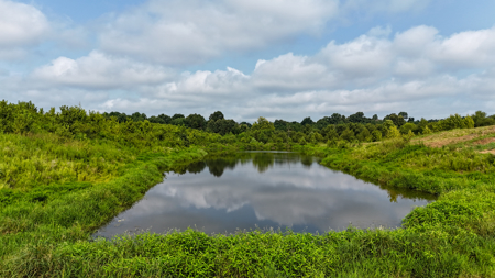 82-Acre West TN Cattle Farm for Sale in Hornbeak, Tennessee - image 8