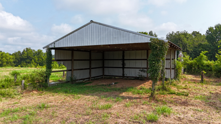 82-Acre West TN Cattle Farm for Sale in Hornbeak, Tennessee - image 3