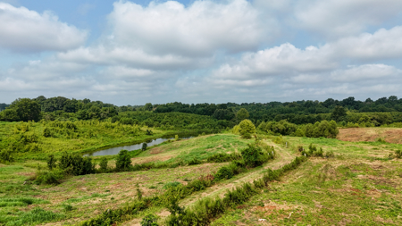 82-Acre West TN Cattle Farm for Sale in Hornbeak, Tennessee - image 12