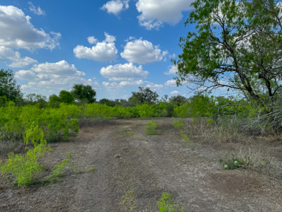 Unrestricted Hunting & Recreational Land Near Beeville - image 5