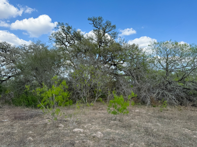 Unrestricted Hunting & Recreational Land Near Beeville - image 13