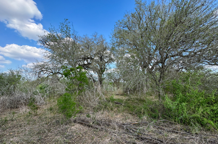 Unrestricted Hunting & Recreational Land Near Beeville - image 14