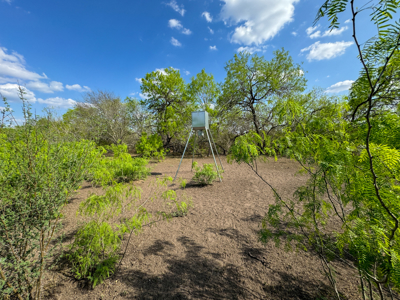 Unrestricted Hunting & Recreational Land Near Beeville - image 17