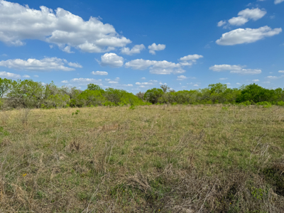 Unrestricted Hunting & Recreational Land Near Beeville - image 16