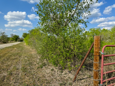 Unrestricted Hunting & Recreational Land Near Beeville - image 18