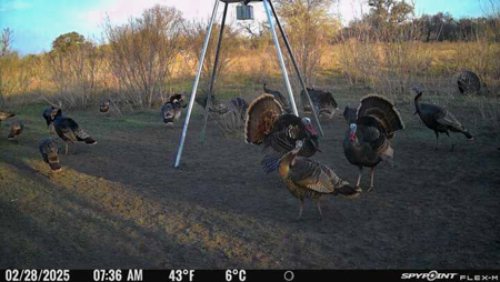 Unrestricted Hunting & Recreational Land Near Beeville - image 8