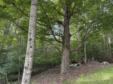 Listing 62