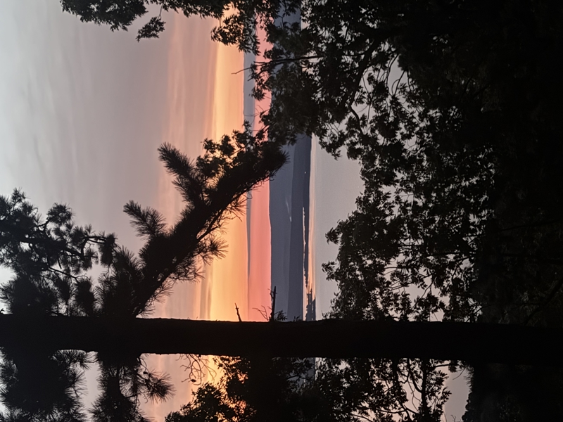 No Caption