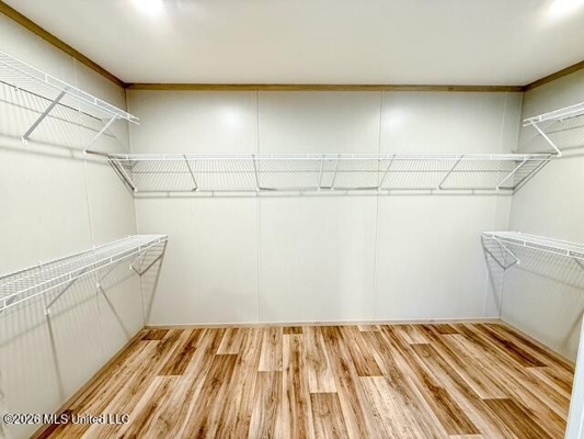 New 4 Bedroom Double Wide in North Pike