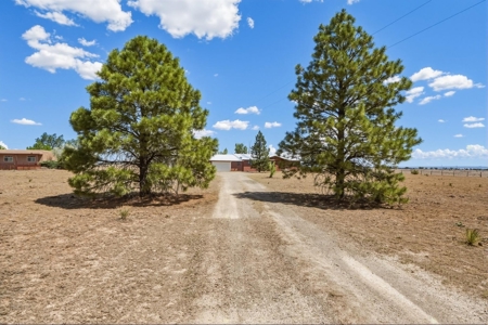 6.7 Acre Horse Property for Sale in Moriarty NM with Views - image 40