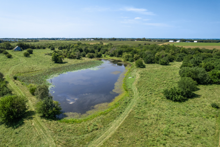 Online Auction: 66 Acres Near Cameron, Missouri - image 27