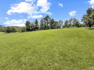 Brick Ranch for Sale in Copper Hill VA - image 3