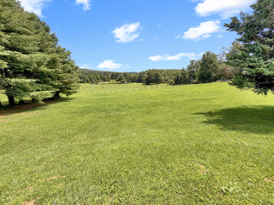 Brick Ranch for Sale in Copper Hill VA - image 7