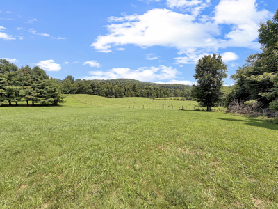 Brick Ranch for Sale in Copper Hill VA - image 10