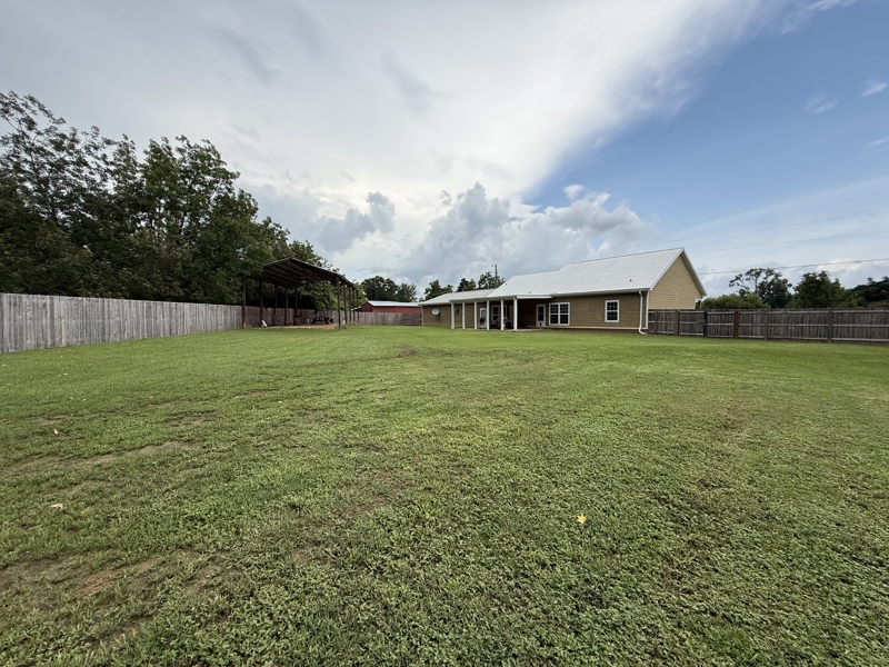 No Caption