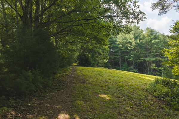 Private Retreat for Sale in Willis VA