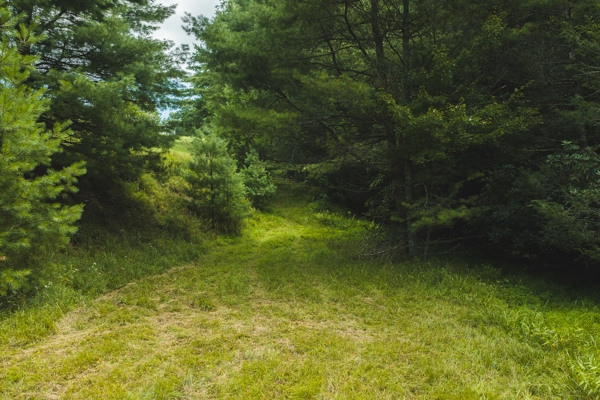 Private Retreat for Sale in Willis VA