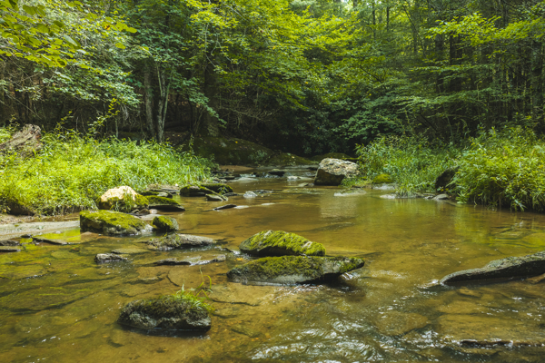 Private Retreat for Sale in Willis VA