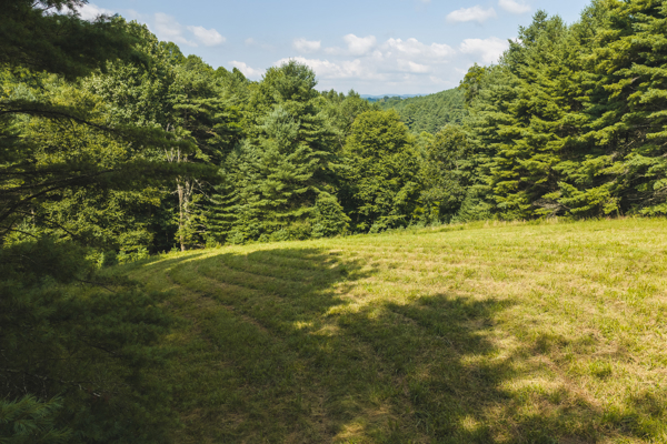 Private Retreat for Sale in Willis VA