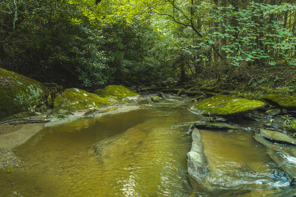 Private Retreat for Sale in Willis VA