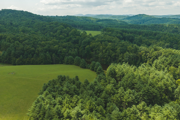Private Retreat for Sale in Willis VA