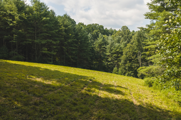 Private Retreat for Sale in Willis VA