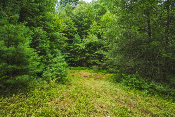 Private Retreat for Sale in Willis VA