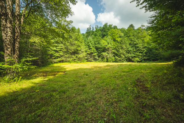 Private Retreat for Sale in Willis VA