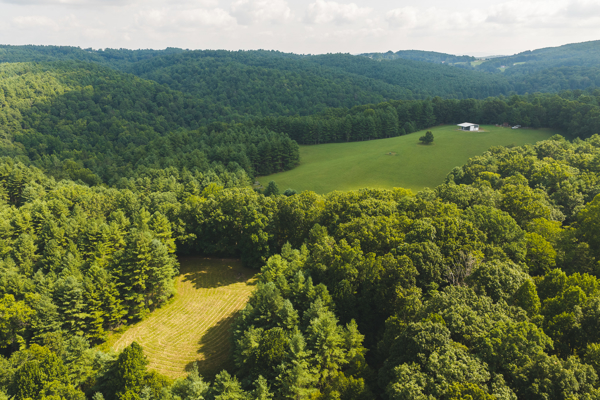 Private Retreat for Sale in Willis VA